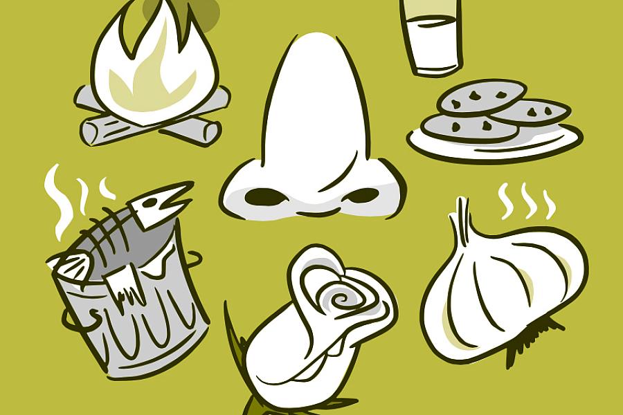 Illustration of a nose surrounded by smelly things, like a rose, garlic, and a smoky fire.