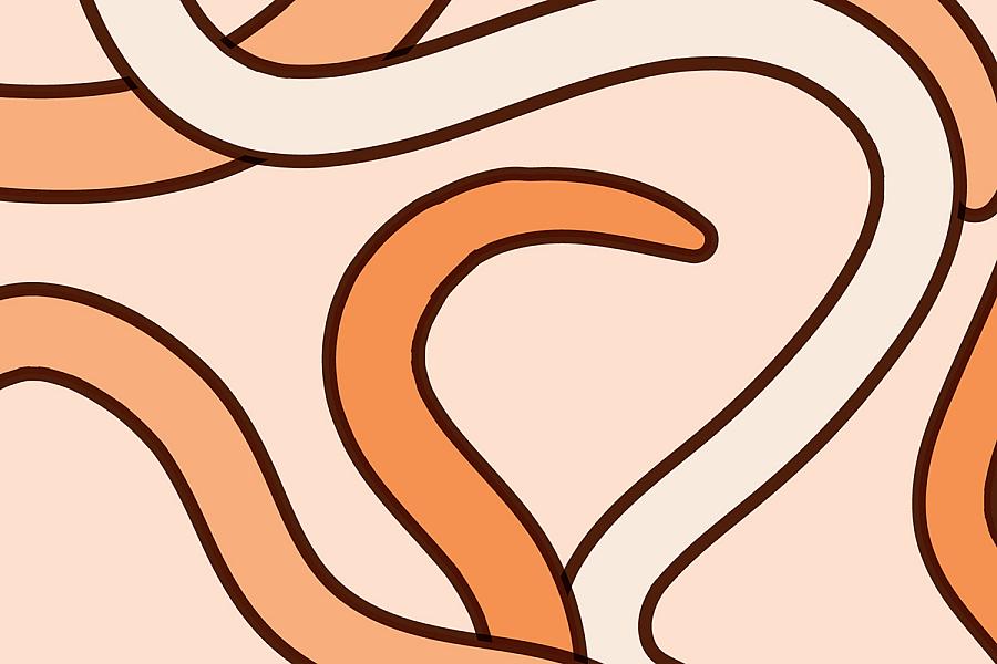 Illustration of C. elegans worms.